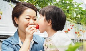 インターナショナル小学校 英語面接のためのママの英会話