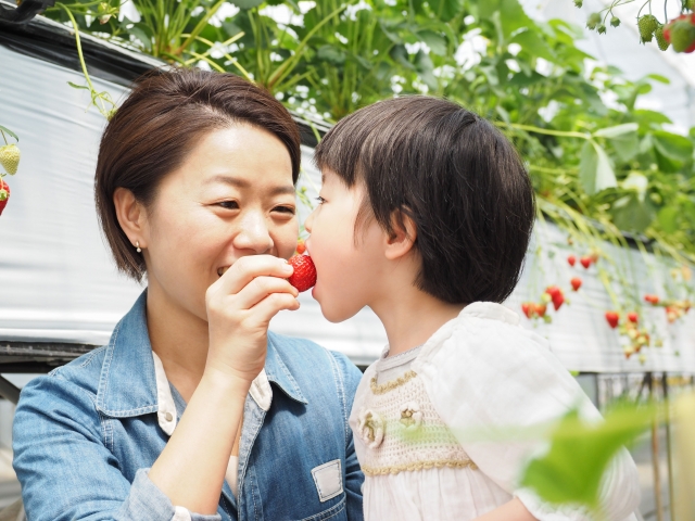 インターナショナル小学校 英語面接のためのママの英会話