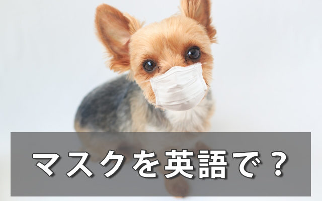 マスクを英語で言うと 不織布マスク 手作りマスクの言い方は マスクを英語で言うと 不織布マスク 手作りマスクの言い方は