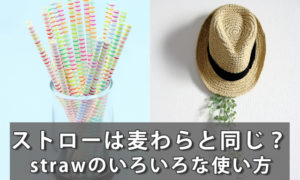 「ストロー=straw」は「麦わら」と同じ単語？strawの使い方